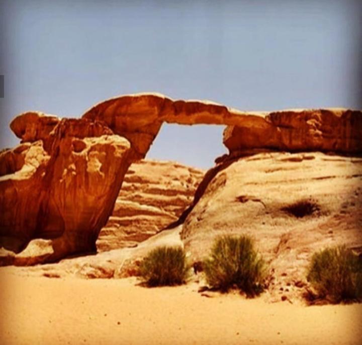 Wadi Rum Bedouin Time Exteriör bild